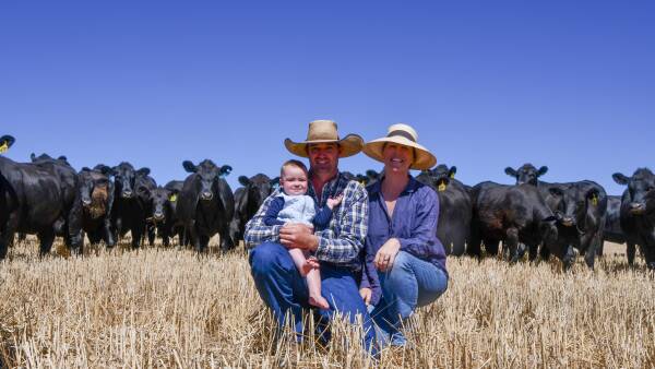 الأمان هو الأساس: كيف يتغلب زوجان على تقلبات سوق الماشية