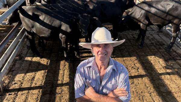 El 'valor dividido': por qué vale la pena vender vacas y terneros por separado