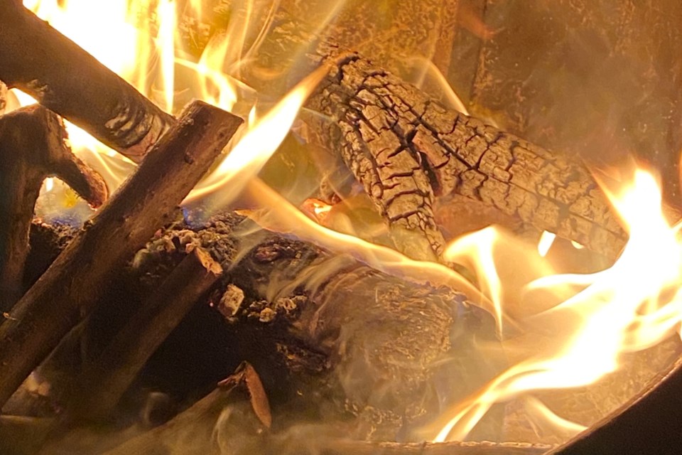 Could biochar play a role in Algoma Steel's future?