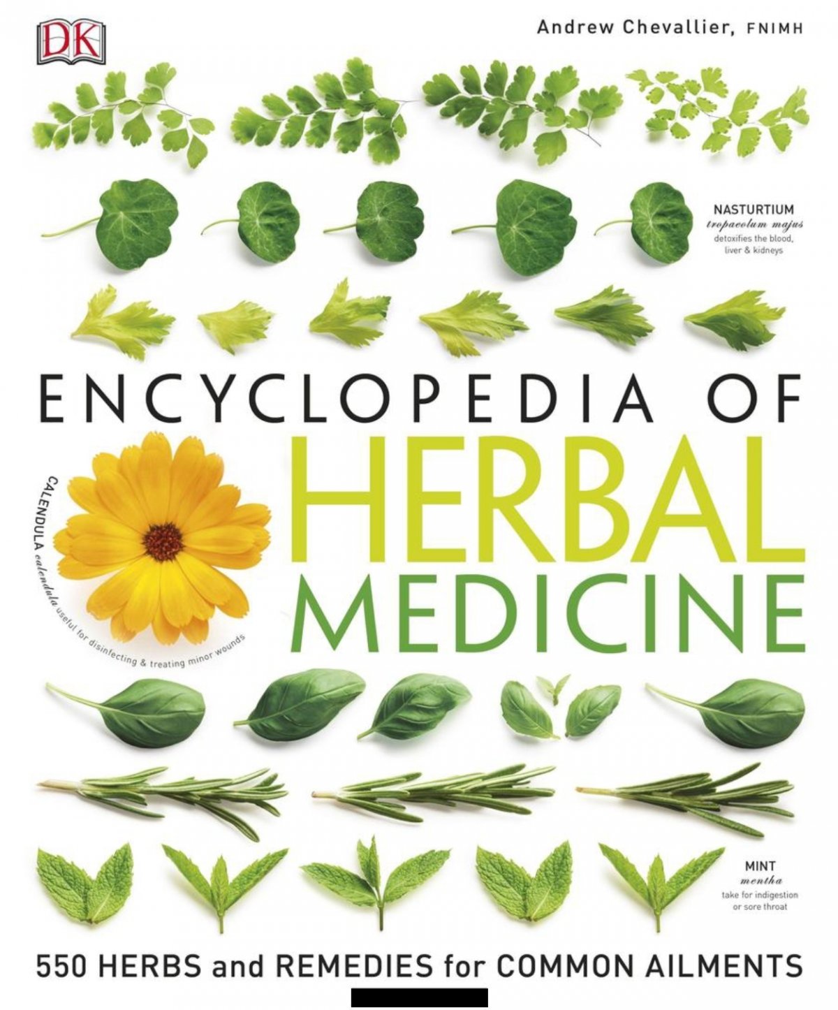 El desarrollo de las hierbas