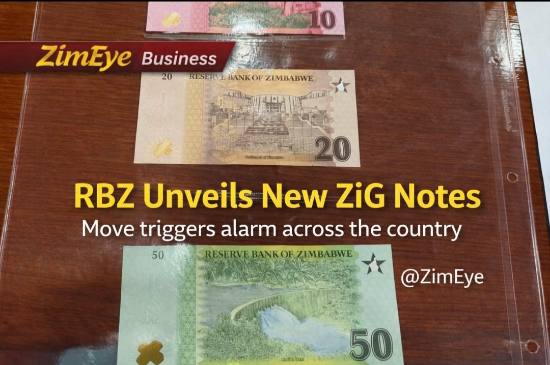 Zimbabweans Skeptical as RBZ Announces Token Banking Reforms