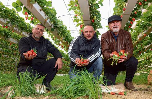 'A person who lives with dignity doesn’t seek war': the Palestinian farmers feeding Israel